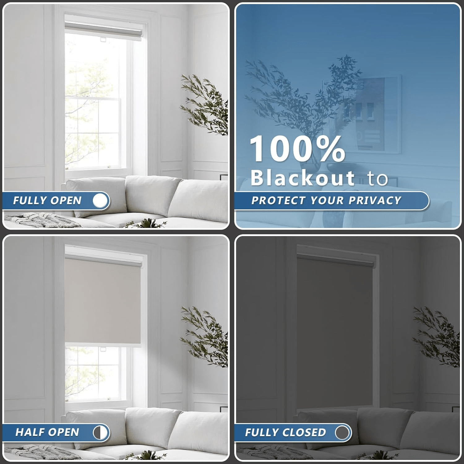 Motorized Blinds